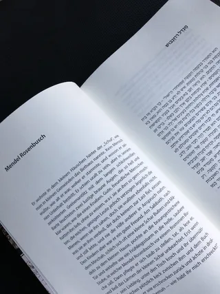 המהדורה החדשה מציבה את הטקסטים בעברית ובגרמנית זה לצד זה