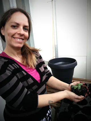 התינוק הצמחי המלפפוני שלי (אחד מרבים, הלידה הרבה יותר פשוטה עם צמחים), ביום שהעברנו אותו לאגרטל משלו
