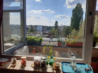 הנוף הנשקף ממרפסתי בשלוש שכבות: הירוק ירוק הזה של ברלין באביב, המרפסת שלנו שנהנית מהכי הרבה תשומת לב אי פעם, ושורת הניסויים והפעילויות שהבן שלי עורך כרגע בבית